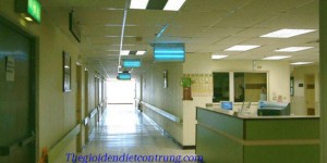 Mua ngay đèn diệt côn trùng hiệu quả tại thegioidendietcontrung.com