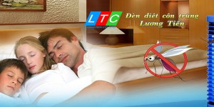 Tại sao tôi chọn Lương Tiến?