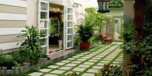 Sử  dụng đèn diệt côn trùng hiệu quả