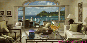 Nên mua máy diệt muỗi hay đèn xông tinh dầu cho gia đình