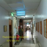 Nhà cung cấp đèn diệt côn trùng WELL DS-D152I chính hãng