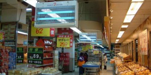 Đèn diệt côn trùng DS - D202I