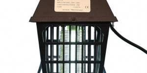 Làm gì để kiểm soát côn trùng hiệu quả