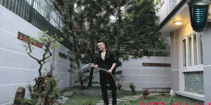 Đèn diệt côn trùng khiến mẹ yên tâm