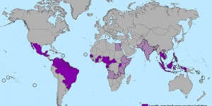 Phòng dịch Zika với đèn diệt côn trùng