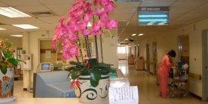 Điểm đến duy nhất tại TP.HCM khi bạn muốn mua đèn diệt muỗi