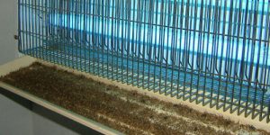 Cách thử đèn diệt côn trùng