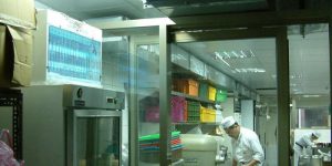 Đèn diệt côn trùng cho công ty bánh kẹo