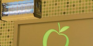 3 lý do nên dùng đèn diệt côn trùng bằng lưới điện