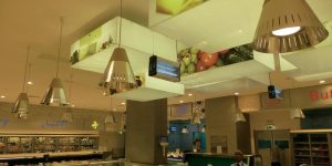 Công ty Lương Tiến phân phối đa dạng sản phẩm đèn diệt côn trùng