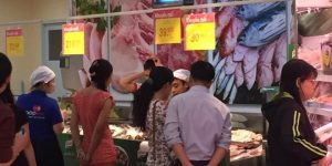 Công ty Lương Tiến cung cấp đèn diệt côn trùng cho siêu thị Vinmark