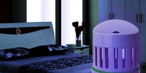 Công suất của đèn diệt côn trùng