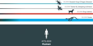 Những động vật nguy hiểm nhất thế giới