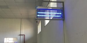 5 Cách đuổi muỗi Zika tránh xa nhà bạn