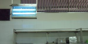 Cách chọn đèn diệt côn trùng cho nhà xưởng tốt nhất