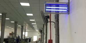 Đèn diệt côn trùng Queen