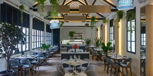 Đèn diệt côn trùng Đại Sinh