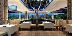 Hướng dẫn cách phòng và diệt côn trùng ngày hè