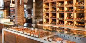 Đèn diệt côn trùng mua ở đâu?